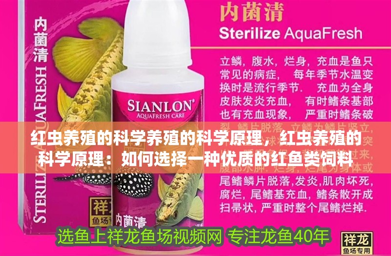 紅蟲養殖的科學養殖的科學原理，紅蟲養殖的科學原理：如何選擇一種優質的紅魚類飼料