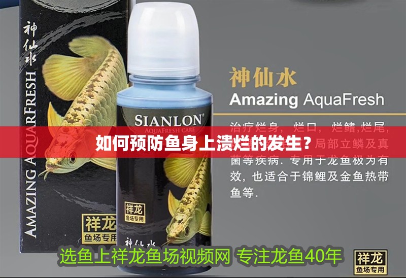 如何預防魚身上潰爛的發生？