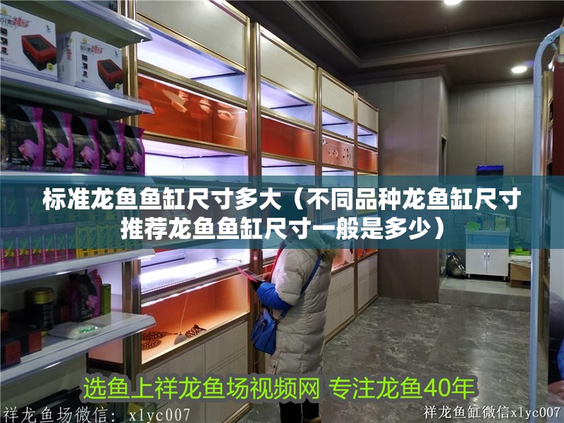 標(biāo)準(zhǔn)龍魚(yú)魚(yú)缸尺寸多大（不同品種龍魚(yú)缸尺寸推薦龍魚(yú)魚(yú)缸尺寸一般是多少）