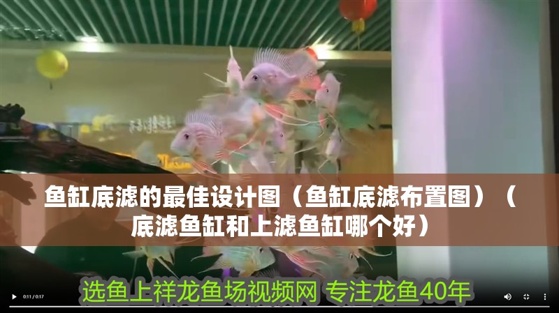 魚缸底濾的最佳設計圖（魚缸底濾布置圖）（底濾魚缸和上濾魚缸哪個好）