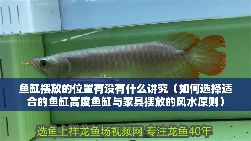 魚缸擺放的位置有沒有什么講究（如何選擇適合的魚缸高度魚缸與家具擺放的風水原則）