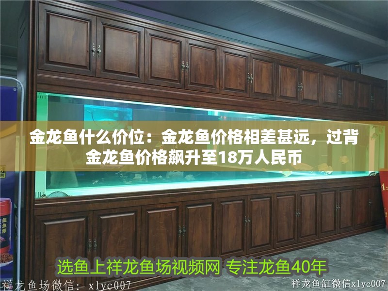 金龍魚什么價位：金龍魚價格相差甚遠，過背金龍魚價格飆升至18萬人民幣