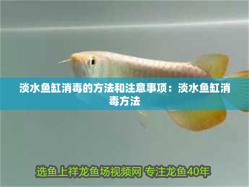 淡水魚缸消毒的方法和注意事項：淡水魚缸消毒方法