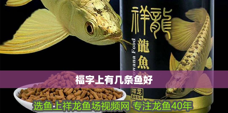 福字上有幾條魚好 福字上有幾條魚好 龍魚論壇
