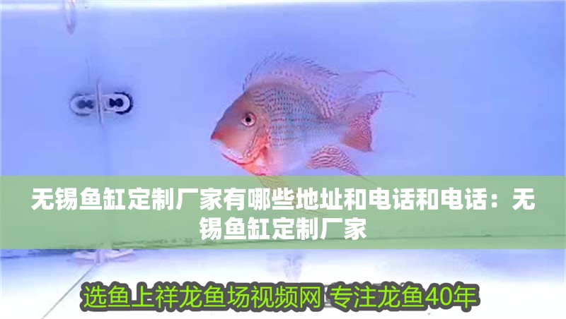 無錫魚缸定制廠家有哪些地址和電話和電話：無錫魚缸定制廠家