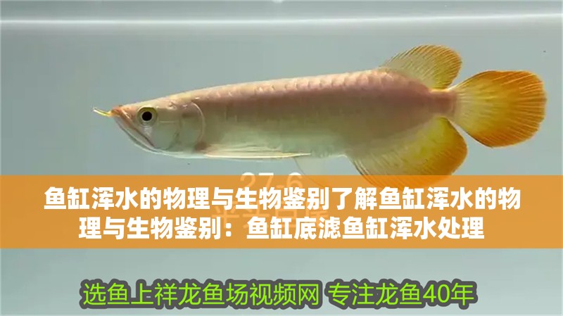 魚缸過濾器選購指南:自制魚缸過濾器魚缸上置過濾器對于養(yǎng)魚愛好者的必備知識 魚缸渾水的物理與生物鑒別了解魚缸渾水的物理與生物鑒別:魚缸底濾魚缸渾水處理 魚缸百科 魚缸渾水的物理與生物鑒別了解魚缸渾水的物理與生物鑒別:魚缸底濾魚缸渾水處理 魚缸渾水的物理與生物鑒別了解魚缸渾水的物理與生物鑒別:魚缸底濾魚缸渾水處理 魚缸百科