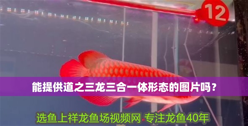能提供道之三龍三合一體形態的圖片嗎？