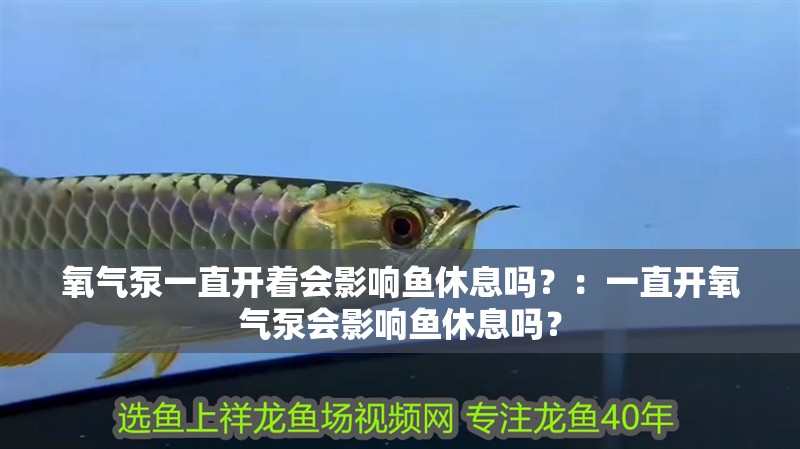 氧氣泵一直開(kāi)著會(huì)影響?hù)~(yú)休息嗎？：一直開(kāi)氧氣泵會(huì)影響?hù)~(yú)休息嗎？ 氧氣泵一直開(kāi)著會(huì)影響?hù)~(yú)休息嗎？：一直開(kāi)氧氣泵會(huì)影響?hù)~(yú)休息嗎？ 魚(yú)缸百科