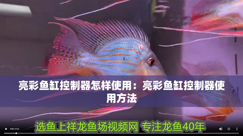 亮彩魚缸控制器怎樣使用：亮彩魚缸控制器使用方法