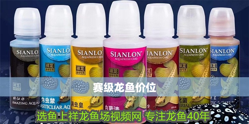 賽級龍魚價位