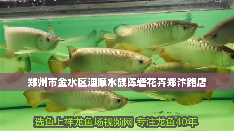 魚缸過濾器選購指南:自制魚缸過濾器魚缸上置過濾器對于養魚愛好者的必備知識 鄭州市金水區迪順水族陳砦花卉鄭汴路店 全國水族館企業名錄 鄭州市金水區迪順水族陳砦花卉鄭汴路店 鄭州市金水區迪順水族陳砦花卉鄭汴路店 全國水族館企業名錄