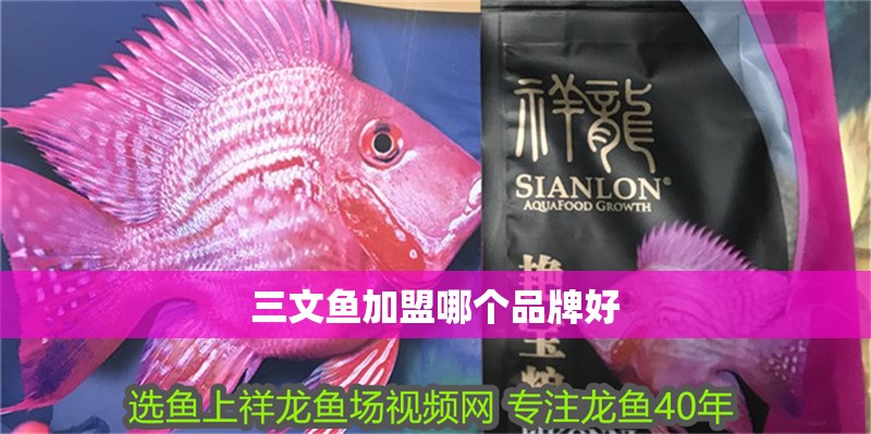 三文魚加盟哪個品牌好