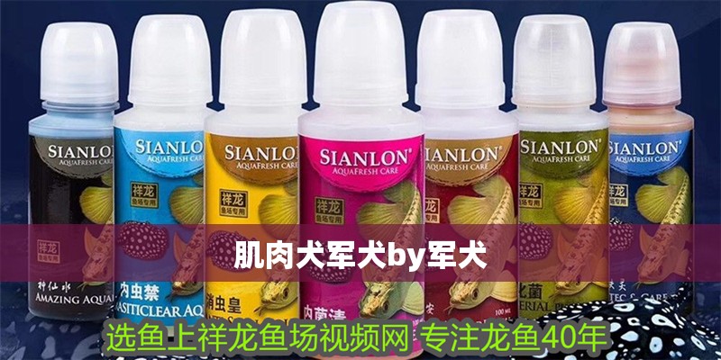 肌肉犬軍犬by軍犬 肌肉犬軍犬by軍犬 龍魚論壇