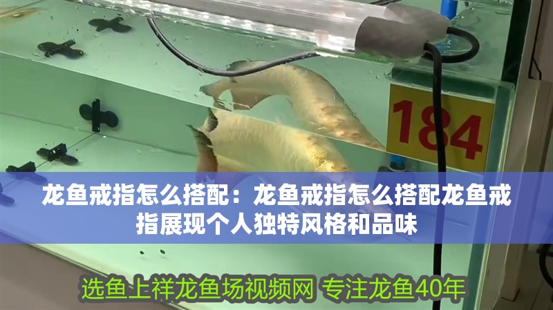 龍魚戒指怎么搭配：龍魚戒指怎么搭配龍魚戒指展現(xiàn)個人獨(dú)特風(fēng)格和品味 龍魚戒指怎么搭配：龍魚戒指怎么搭配龍魚戒指展現(xiàn)個人獨(dú)特風(fēng)格和品味 龍魚百科