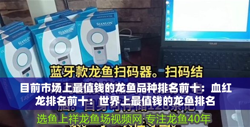 目前市場上最值錢的龍魚品種排名前十：血紅龍排名前十：世界上最值錢的龍魚排名