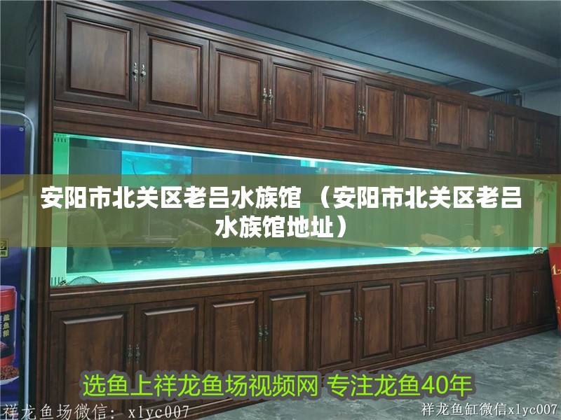 安陽市北關區老呂水族館 （安陽市北關區老呂水族館地址） 安陽市北關區老呂水族館 （安陽市北關區老呂水族館地址） 全國水族館企業名錄