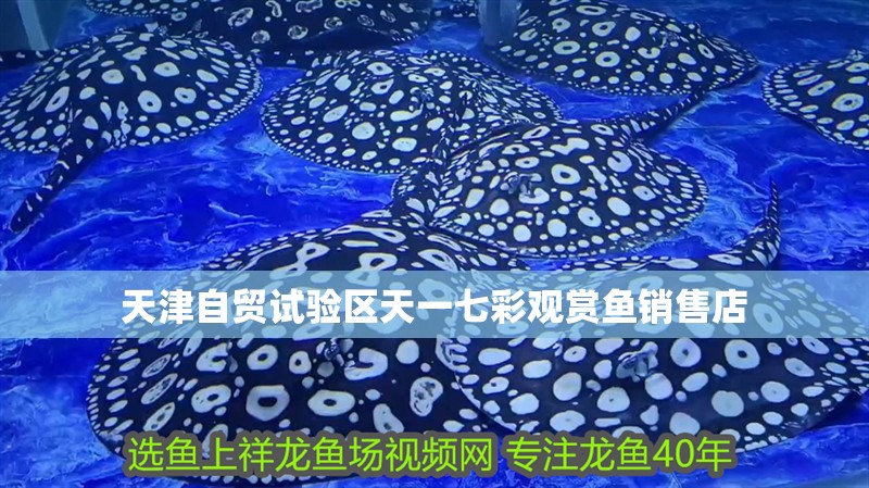 天津自貿試驗區天一七彩觀賞魚銷售店