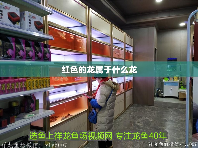 魚缸過濾器選購指南:自制魚缸過濾器魚缸上置過濾器對于養魚愛好者的必備知識 紅色的龍屬于什么龍 龍魚論壇 紅色的龍屬于什么龍 紅色的龍屬于什么龍 龍魚論壇