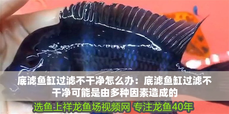底濾魚缸過濾不干凈怎么辦：底濾魚缸過濾不干凈可能是由多種因素造成的