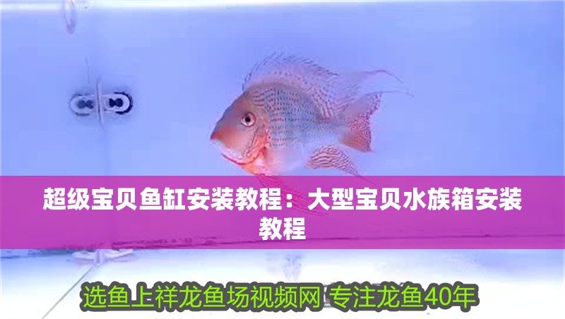 超級寶貝魚缸安裝教程：大型寶貝水族箱安裝教程