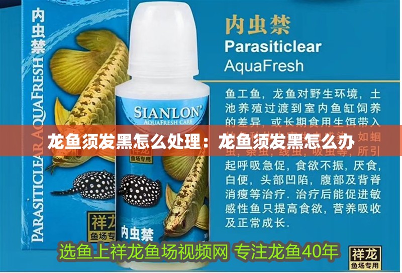 龍魚須發(fā)黑怎么處理：龍魚須發(fā)黑怎么辦