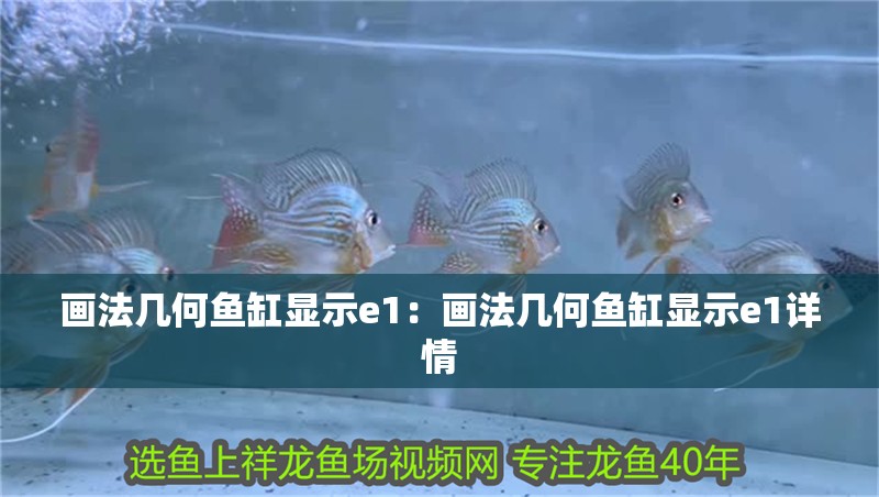 畫法幾何魚缸顯示e1：畫法幾何魚缸顯示e1詳情