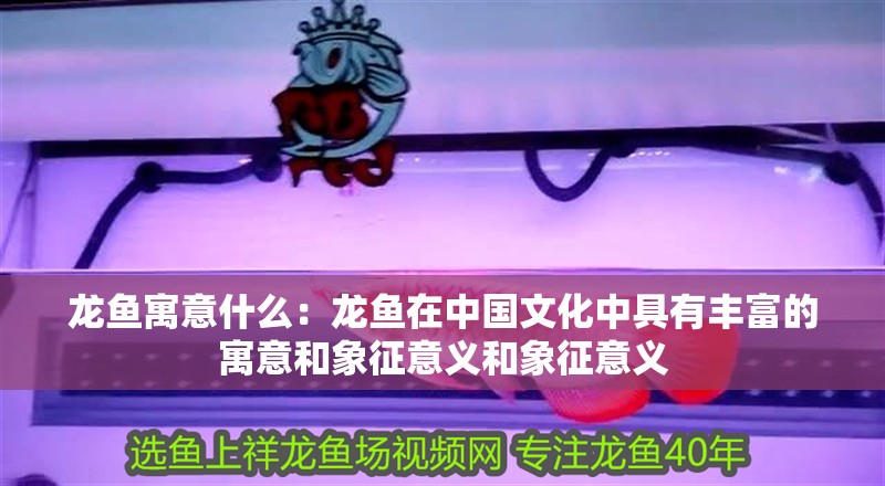 龍魚寓意什么：龍魚在中國文化中具有豐富的寓意和象征意義和象征意義