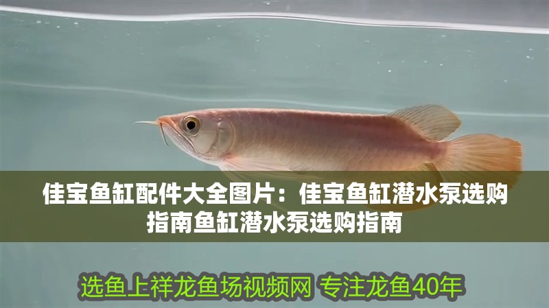佳寶魚缸配件大全圖片：佳寶魚缸潛水泵選購指南魚缸潛水泵選購指南
