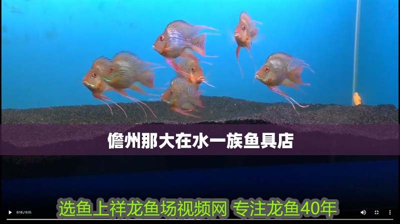儋州那大在水一族魚具店