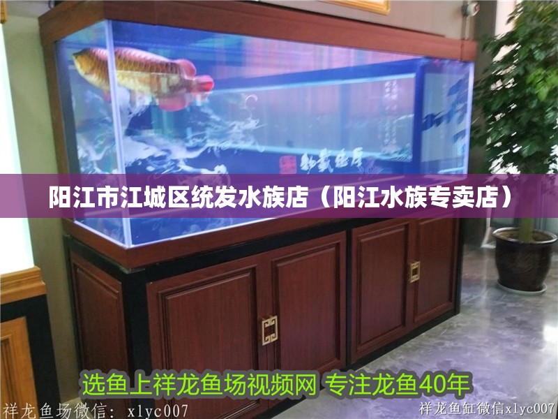 陽江市江城區統發水族店（陽江水族專賣店）