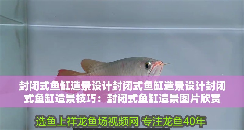 魚缸用增氧泵價格是多少:魚缸增氧機-xtrac增氧機-xtrac增氧機 封閉式魚缸造景設(shè)計封閉式魚缸造景設(shè)計封閉式魚缸造景技巧:封閉式魚缸造景圖片欣賞 魚缸百科 封閉式魚缸造景設(shè)計封閉式魚缸造景設(shè)計封閉式魚缸造景技巧:封閉式魚缸造景圖片欣賞 封閉式魚缸造景設(shè)計封閉式魚缸造景設(shè)計封閉式魚缸造景技巧:封閉式魚缸造景圖片欣賞 魚缸百科