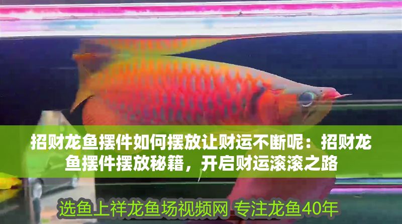 招財(cái)龍魚擺件如何擺放讓財(cái)運(yùn)不斷呢：招財(cái)龍魚擺件擺放秘籍，開(kāi)啟財(cái)運(yùn)滾滾之路