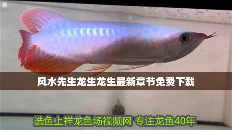 風(fēng)水先生龍生龍生最新章節(jié)免費(fèi)下載