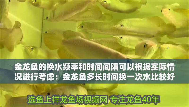 金龍魚的換水頻率和時(shí)間間隔可以根據(jù)實(shí)際情況進(jìn)行考慮：金龍魚多長(zhǎng)時(shí)間換一次水比較好呢？