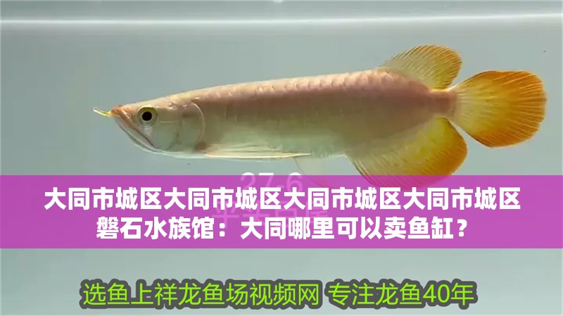 鸚鵡魚(yú)和銀龍魚(yú)混養(yǎng)怎樣喂食 大同市城區(qū)大同市城區(qū)大同市城區(qū)大同市城區(qū)磐石水族館:大同哪里可以賣(mài)魚(yú)缸? 魚(yú)缸百科 大同市城區(qū)大同市城區(qū)大同市城區(qū)大同市城區(qū)磐石水族館:大同哪里可以賣(mài)魚(yú)缸? 大同市城區(qū)大同市城區(qū)大同市城區(qū)大同市城區(qū)磐石水族館:大同哪里可以賣(mài)魚(yú)缸? 魚(yú)缸百科