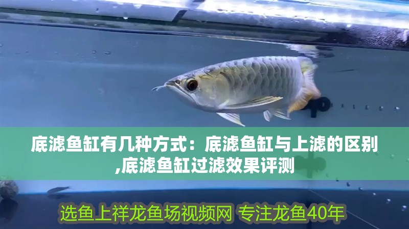 底濾魚缸有幾種方式：底濾魚缸與上濾的區別,底濾魚缸過濾效果評測 底濾魚缸有幾種方式：底濾魚缸與上濾的區別,底濾魚缸過濾效果評測 魚缸百科
