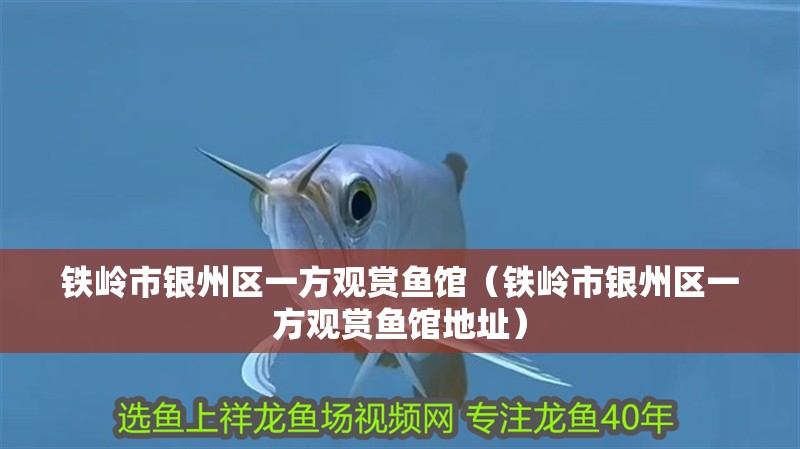 鐵嶺市銀州區一方觀賞魚館（鐵嶺市銀州區一方觀賞魚館地址）