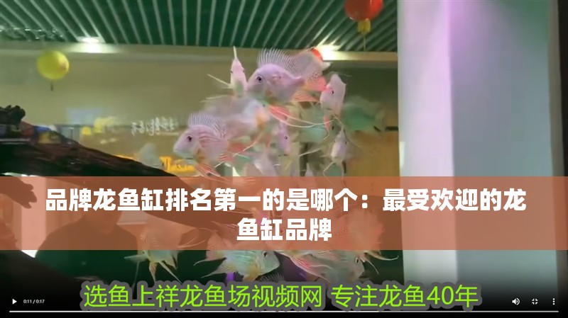 品牌龍魚(yú)缸排名第一的是哪個(gè)：最受歡迎的龍魚(yú)缸品牌