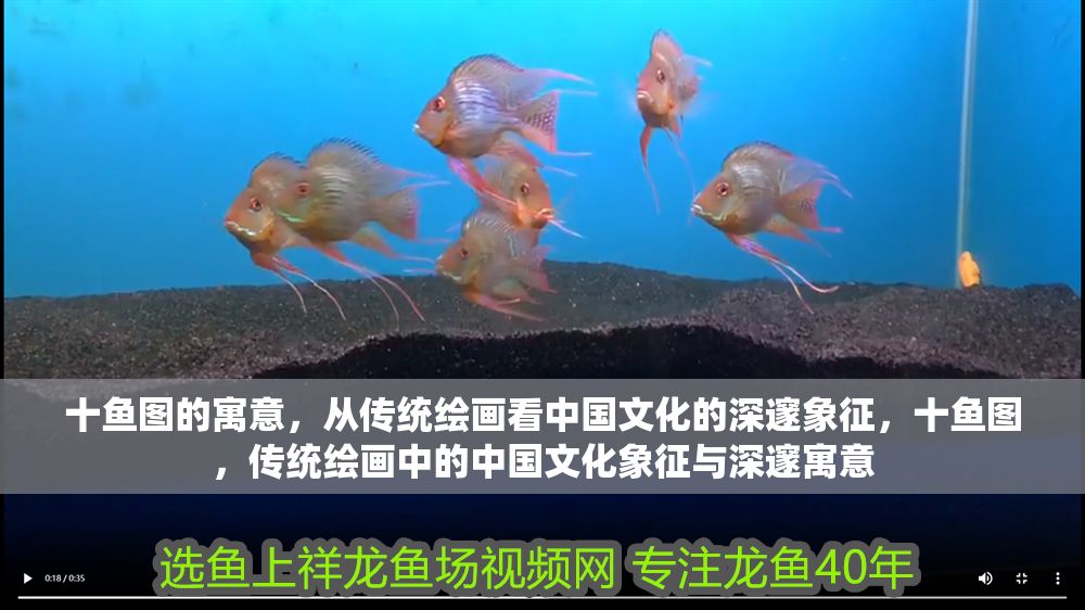 十魚圖的寓意，從傳統繪畫看中國文化的深邃象征，十魚圖，傳統繪畫中的中國文化象征與深邃寓意 十魚圖的寓意，從傳統繪畫看中國文化的深邃象征，十魚圖，傳統繪畫中的中國文化象征與深邃寓意 龍魚百科 第1張