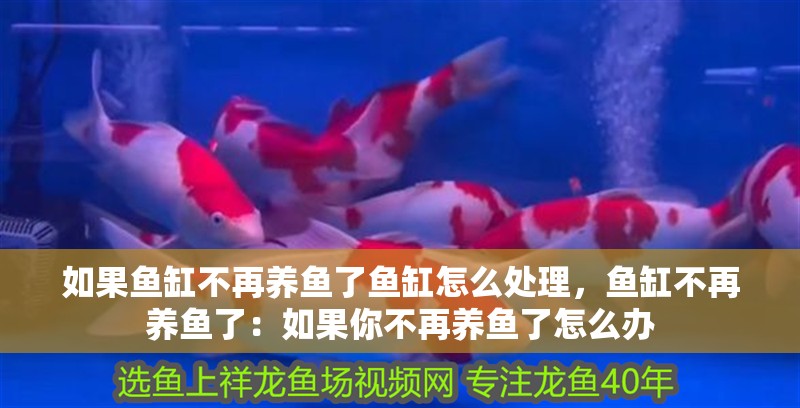 如果魚缸不再養魚了魚缸怎么處理，魚缸不再養魚了：如果你不再養魚了怎么辦