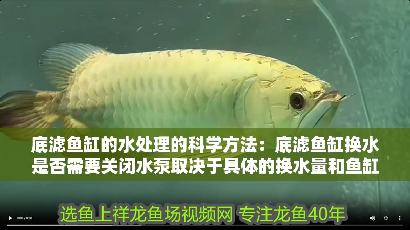 底濾魚缸的水處理的科學方法：底濾魚缸換水是否需要關閉水泵取決于具體的換水量和魚缸大小 底濾魚缸的水處理的科學方法：底濾魚缸換水是否需要關閉水泵取決于具體的換水量和魚缸大小 魚缸百科