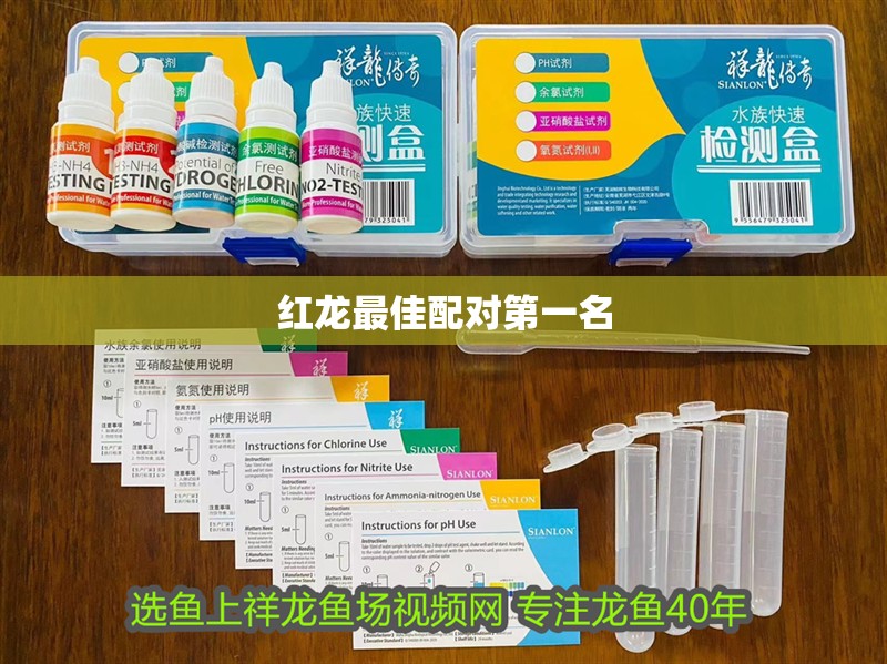 紅龍最佳配對第一名 紅龍最佳配對第一名 龍魚論壇