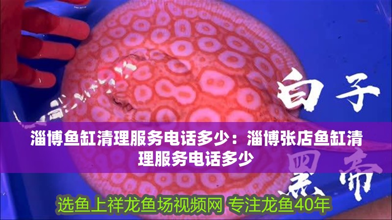 <strong><mark>淄博</mark></strong>魚缸清理服務(wù)電話多少：<strong><mark>淄博</mark></strong>張店魚缸清理服務(wù)電話多少