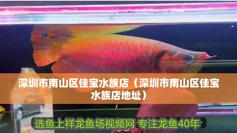 深圳市南山區佳寶水族店（深圳市南山區佳寶水族店地址）