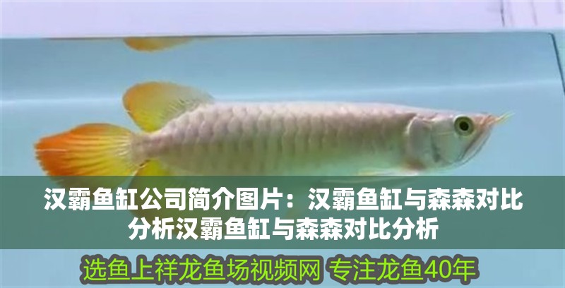 漢霸魚缸公司簡介圖片：漢霸魚缸與森森對比分析漢霸魚缸與森森對比分析