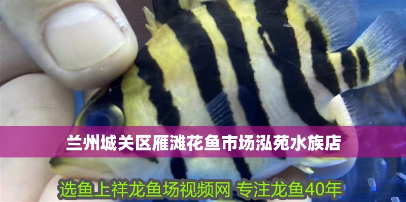 龍魚干蝦有營養(yǎng)嗎 蘭州城關(guān)區(qū)雁灘花魚市場泓苑水族店 全國水族館企業(yè)名錄 蘭州城關(guān)區(qū)雁灘花魚市場泓苑水族店 蘭州城關(guān)區(qū)雁灘花魚市場泓苑水族店 全國水族館企業(yè)名錄