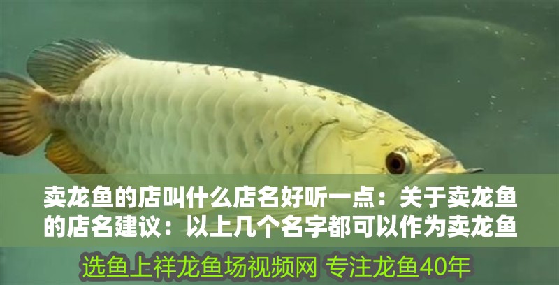 賣龍魚的店叫什么店名好聽一點：關于賣龍魚的店名建議：以上幾個名字都可以作為賣龍魚的店名