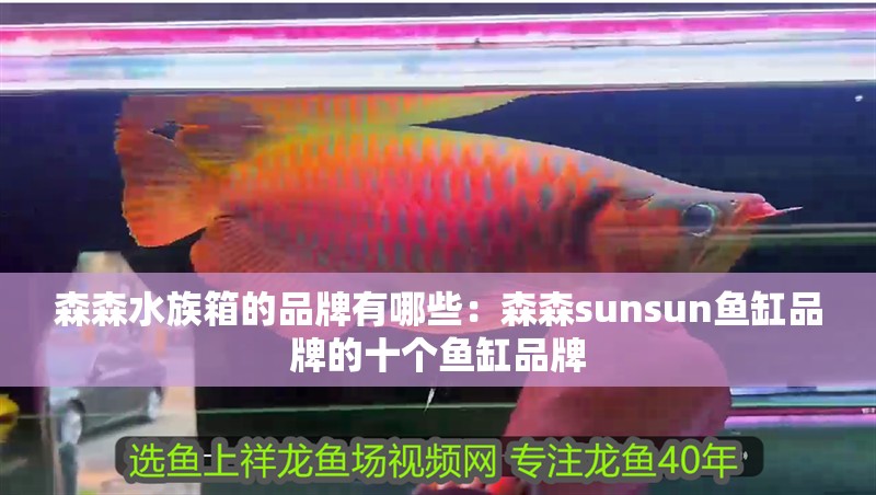 森森水族箱的品牌有哪些：森森sunsun魚缸品牌的十個魚缸品牌