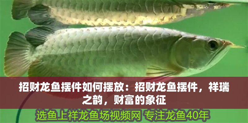 招財龍魚擺件如何擺放：招財龍魚擺件，祥瑞之韻，財富的象征
