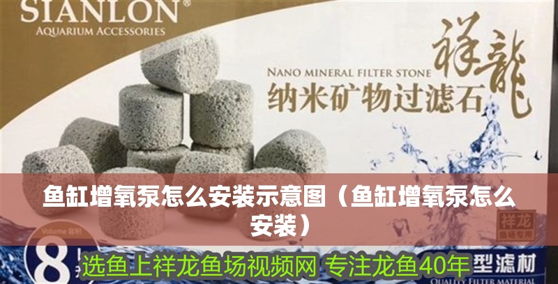 我的虎魚真菌感染了要怎么處理 魚缸增氧泵怎么安裝示意圖(魚缸增氧泵怎么安裝) 魚缸百科 魚缸增氧泵怎么安裝示意圖(魚缸增氧泵怎么安裝) 魚缸增氧泵怎么安裝示意圖(魚缸增氧泵怎么安裝) 魚缸百科